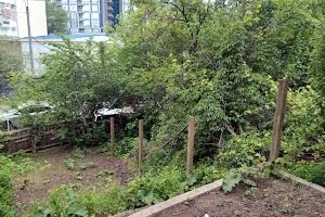 ділянка за адресою Саперне Поле вул., 43
