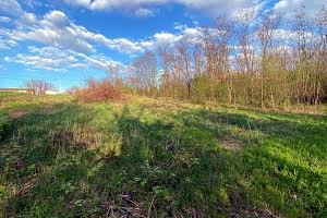 участок по адресу с. Халепье, Лісова