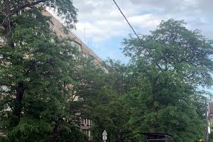 квартира за адресою Бреуса вул., 26