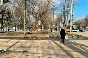 коммерческая по адресу Колачевского, 107