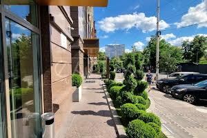 комерційна за адресою Жилянська вул., 68