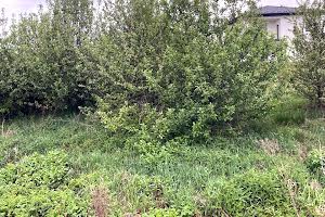 участок по адресу Кірпи