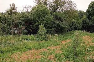 участок по адресу Вовчищовичі, 11