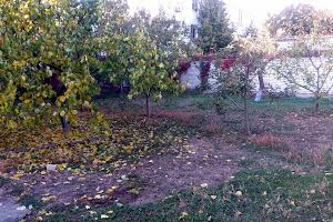 будинок за адресою Георгія Липського вул. (Толбухіна)