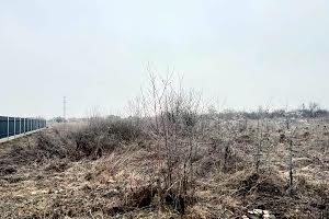 участок по адресу урочище Вільхи