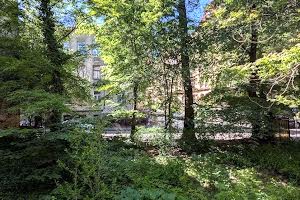 квартира за адресою Глибока вул., 25