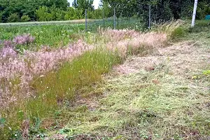 будинок за адресою Центральна