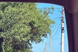 дом по адресу нескучний провулок