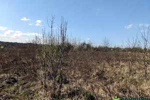 участок по адресу урочище За глибоким
