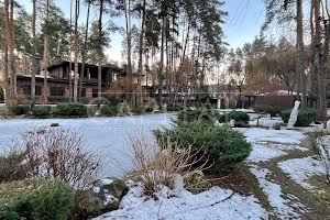 будинок за адресою бучанський