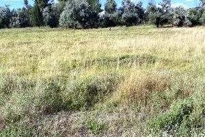ділянка за адресою Березанівська вул. (Моріса Тореза)