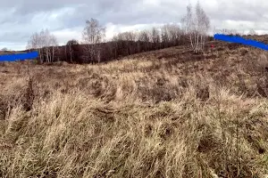 участок по адресу Лісова