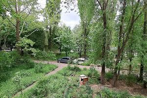 квартира по адресу Анатра пер. (Генерала Вишневского), 11/2
