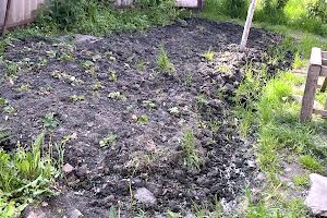 будинок за адресою Нижньолепехівська вул. (Щорса), 40