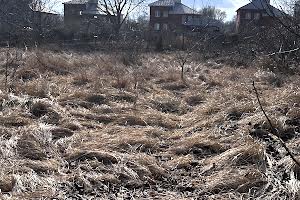 ділянка за адресою Дачна вул.