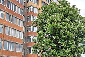 квартира за адресою Марії Примаченко вул., 8в