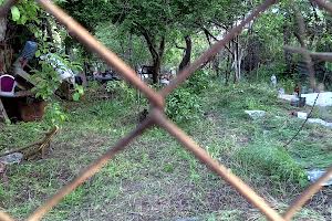 дом по адресу крута