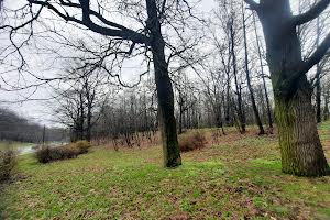 ділянка за адресою Городищанська