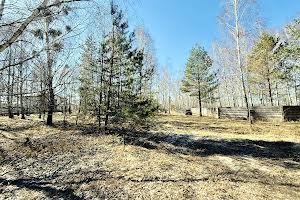 участок по адресу с. Дмитровка, Північна