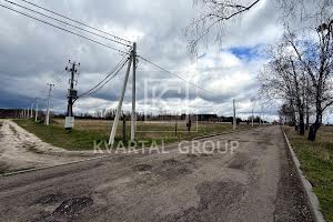 участок по адресу с. Дмитровка, Лісова, 1