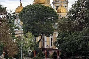 квартира за адресою Болгарська вул., 87А