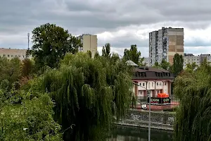 квартира за адресою Рудницького Степана вул. (Вільямса академіка), 19/14