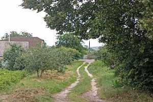 ділянка за адресою с. Михайлівка-Рубежівка, Слобідська