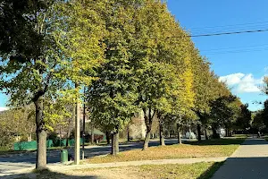 квартира за адресою Володимира Великого вул., 21