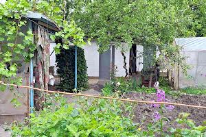 дом по адресу Попова