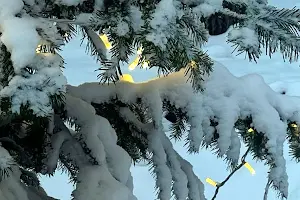 ділянка за адресою Одеса, Дача Ковалевського вул.