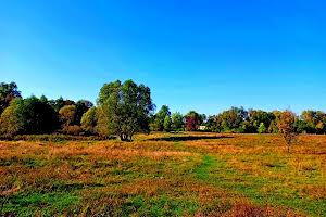 ділянка за адресою Сновська