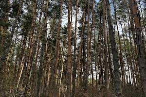 будинок за адресою Обїзна Львова