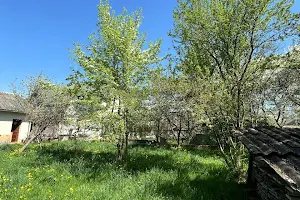 дом по адресу Ленкавского ул.