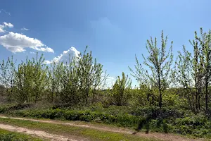 дом по адресу Приозёрная ул.