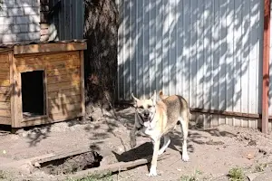 дом по адресу Беринга ул.