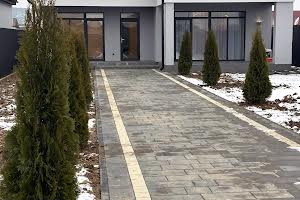 будинок за адресою Підлипники
