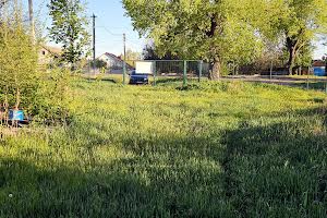 будинок за адресою с. Новоолександрівка, Гагаріна