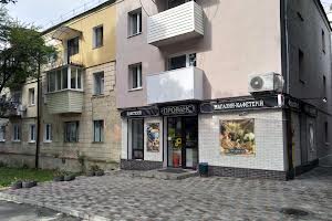 коммерческая по адресу княгіні ольги, 12