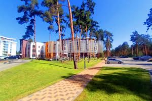 коммерческая по адресу Прорізна ул., 1