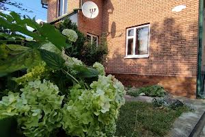дом по адресу Дьогтянецкая ул. (Лізи Чайкіної)