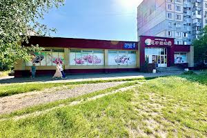 комерційна за адресою Гоголя вул., 520