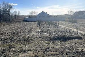 ділянка за адресою с. Петропавлівське (Петровське), Калинова