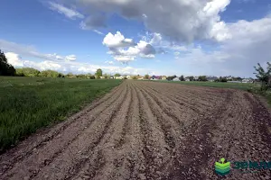 ділянка за адресою 