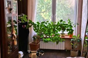 квартира по адресу Мечникова ул., 110
