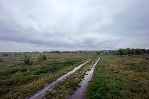 ділянка за адресою с. Марківці, 