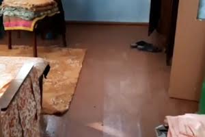 будинок за адресою с. Перекіп, Польова