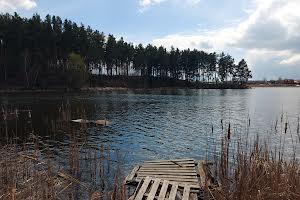 дом по адресу Центральна, 37