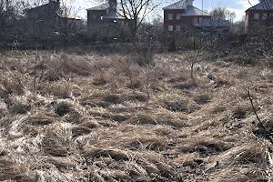 ділянка за адресою Дачна вул.