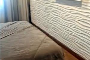 квартира по адресу Вице Адмирала Жукова, 3/7