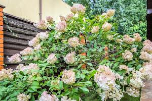 будинок за адресою Козацька вул. (Жовтнева)